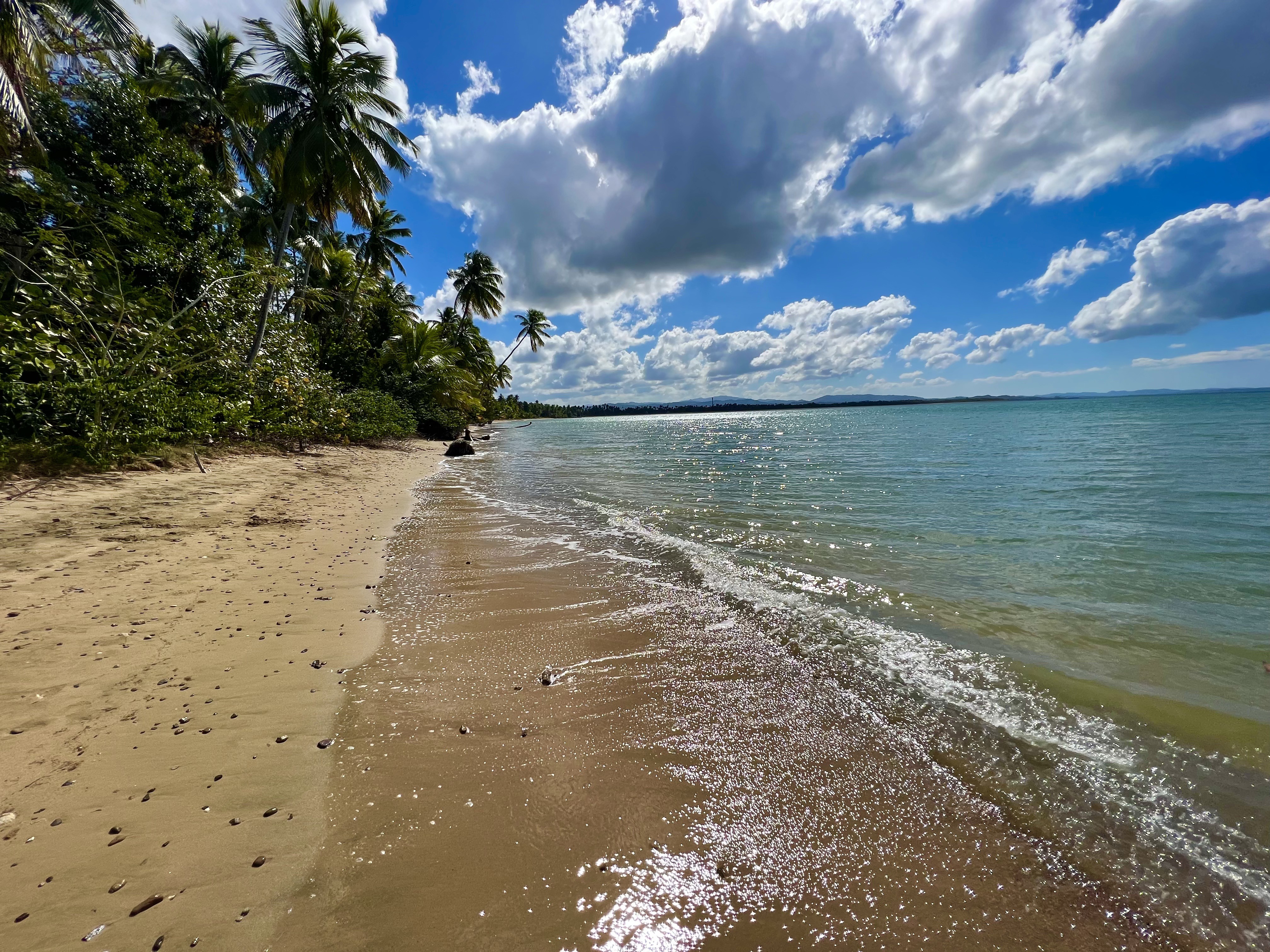 Explore The West Coast of Puerto Rico: Beaches, Surfing, and Culture