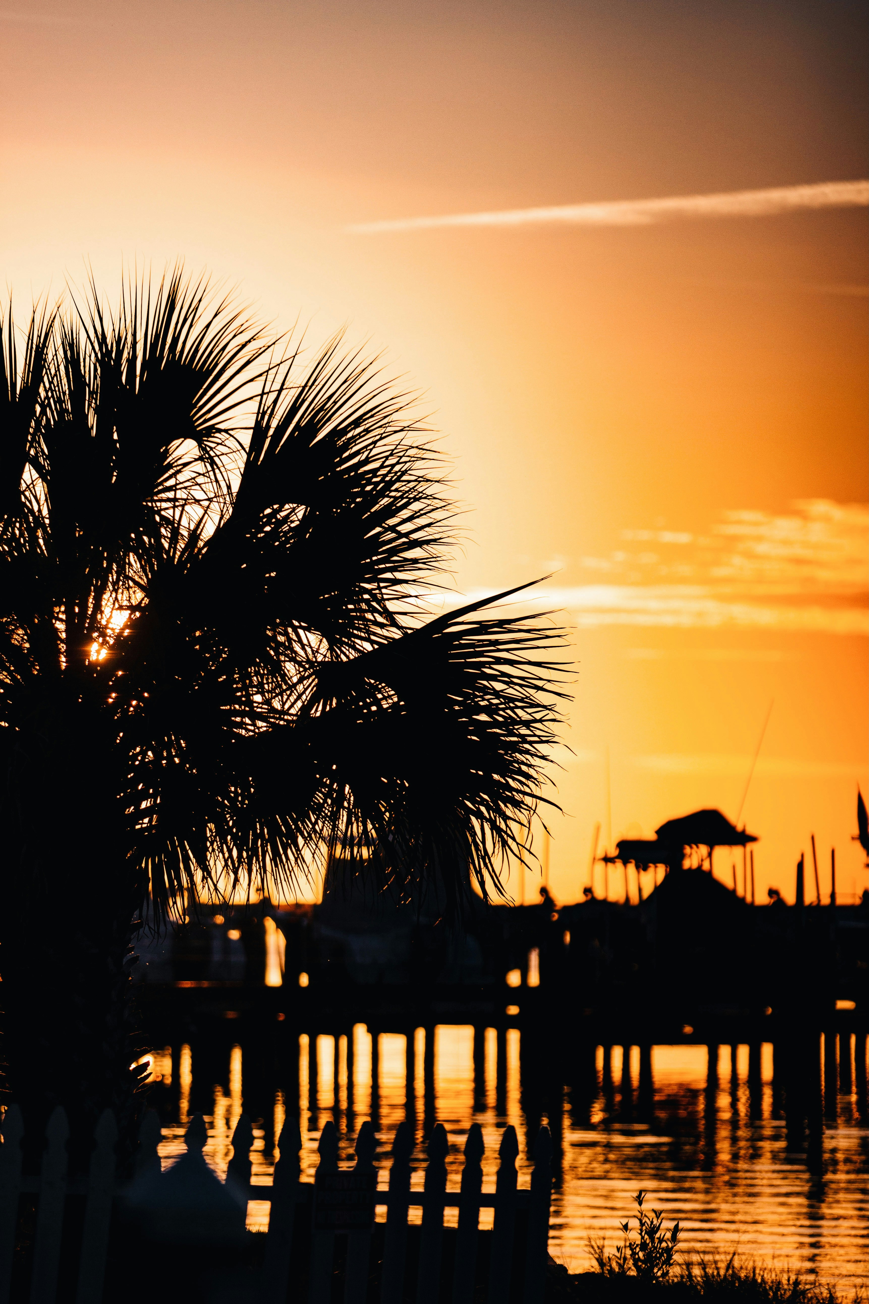Best Places to Stay in Tampa